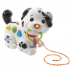 1,2,3-P’TIT-DALMATIEN-VTECH-MAROC